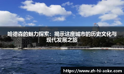 哈德森的魅力探索：揭示这座城市的历史文化与现代发展之旅